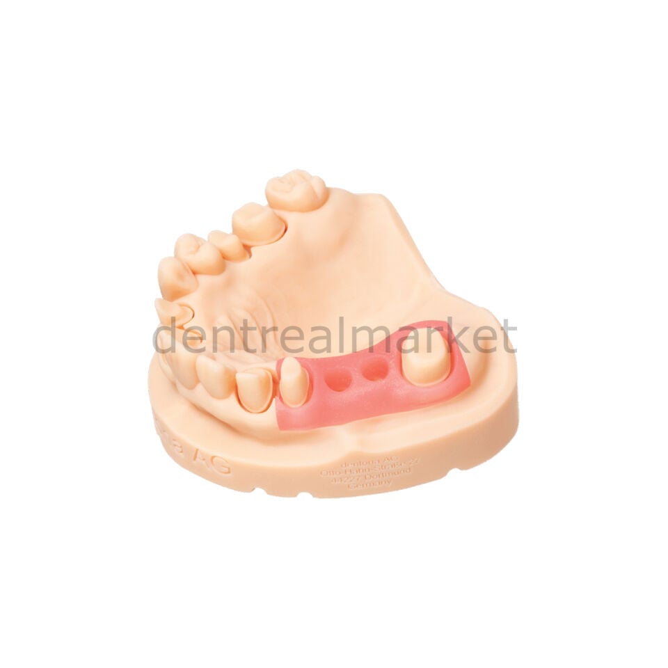 Optiprint Gingiva 2.0  - Diş Eti Maskesi 3D Yazıcı Reçinesi - 1000 gr