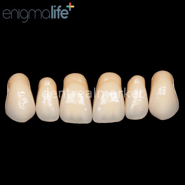 Enigmalife+ Nano Hybrid Kompozit Üst Anterior Diş 6'lık