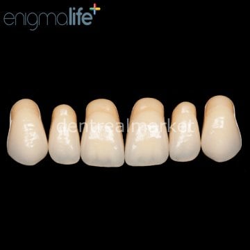 Enigmalife+ Nano Hybrid Kompozit Üst Anterior Diş 6'lık