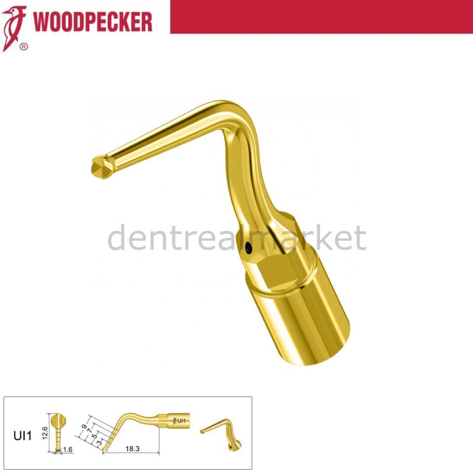 Woodpecker - Mectron Piezo Uç - UI1 ***