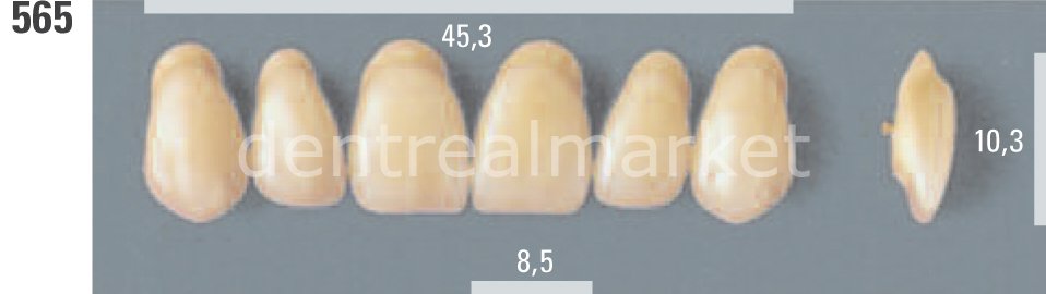 Lumin Vacum Porselen Takım Diş 28'lik D4 - 565