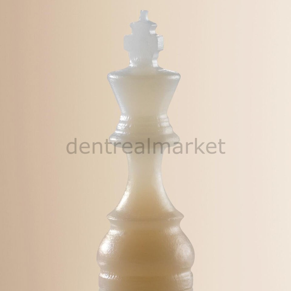 Zolid Bion Multilayer Zirkon Disk Blok 98* 14 mm