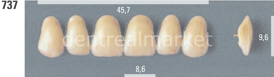 Lumin Vacum Porselen Takım Diş 28'lik D4 - 737