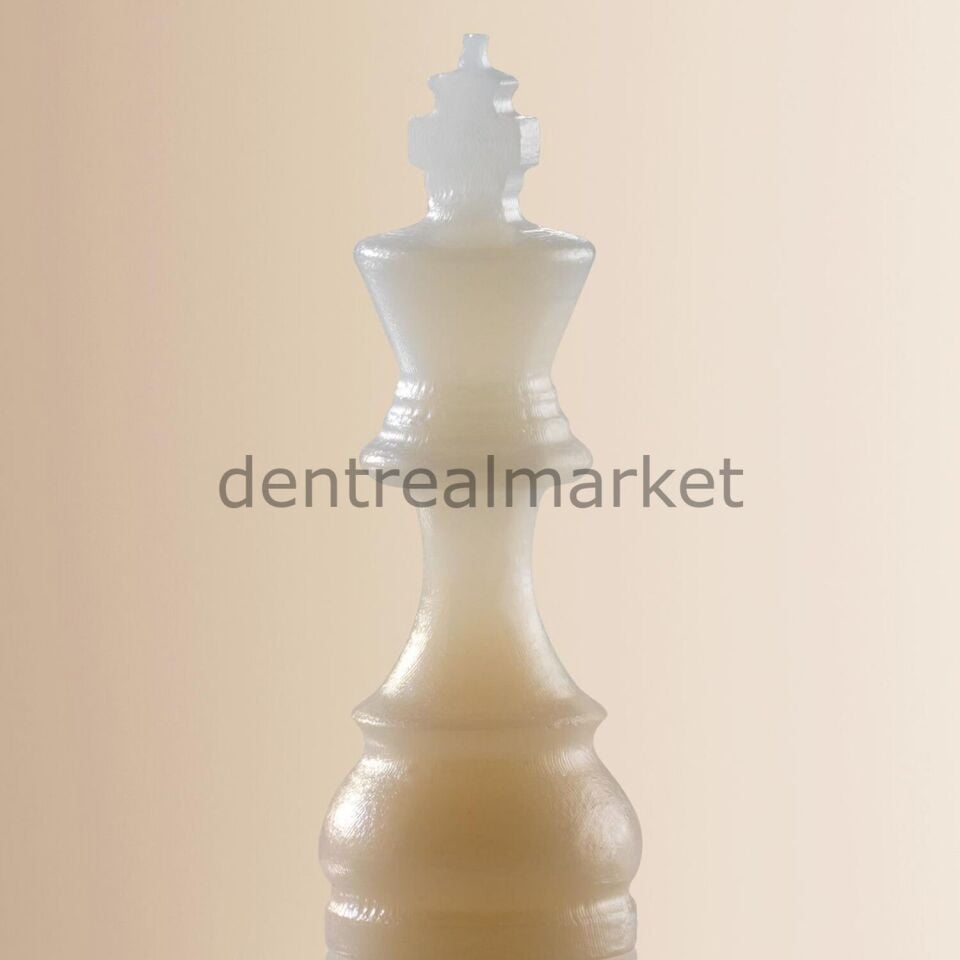 Zolid Bion Multilayer Zirkon Disk Blok 98* 16 mm