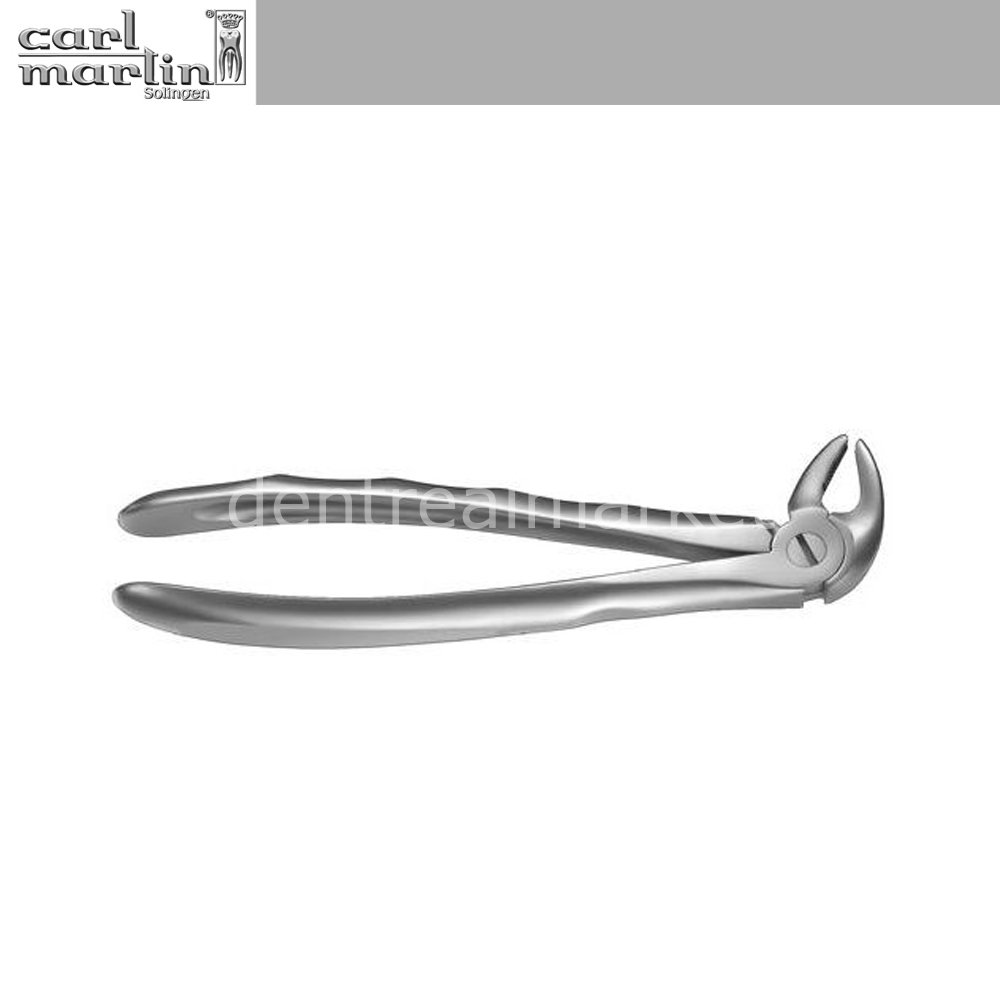 Davye LS Alt Anterior ve Premolar No:13