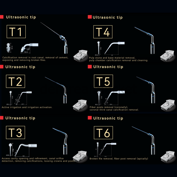 Woodpecker Dr.Talal's Endo Kit