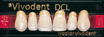 Sr Vivodent DCL Üst Anterior Diş 6'lık B2 - A41