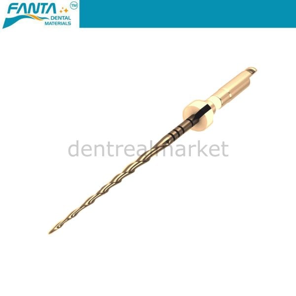 AF R3 Gold File Reciproc Kanal Egesi