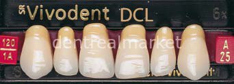 Sr Vivodent DCL Üst Anterior Diş 6'lık B2 - A25