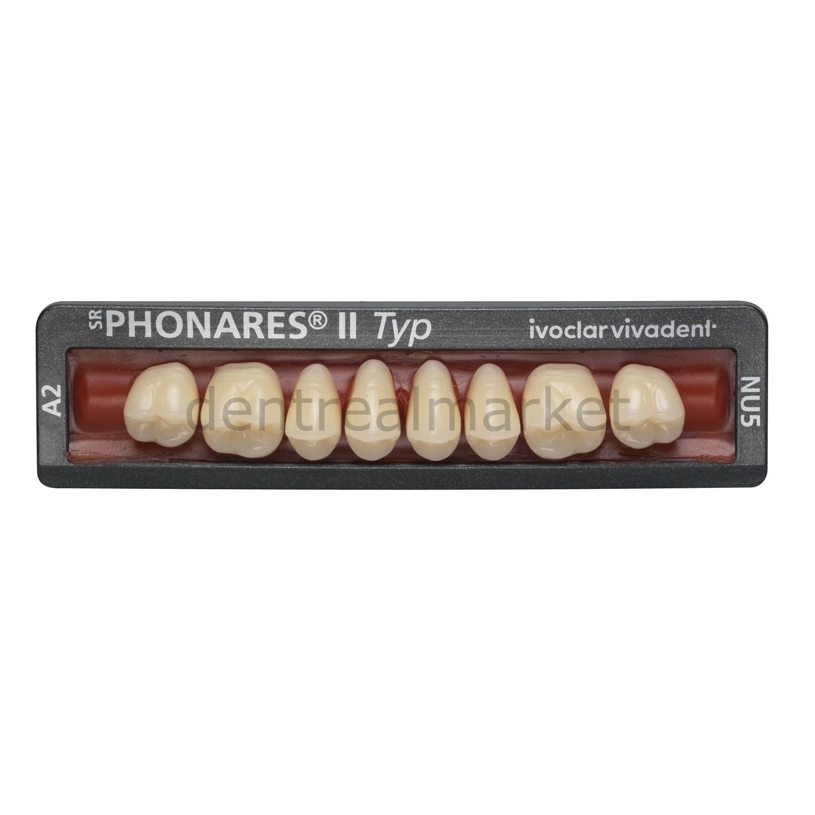 Sr Phonares II Typ Nano Hybrid Kompozit Üst Posterior Diş 8'lik
