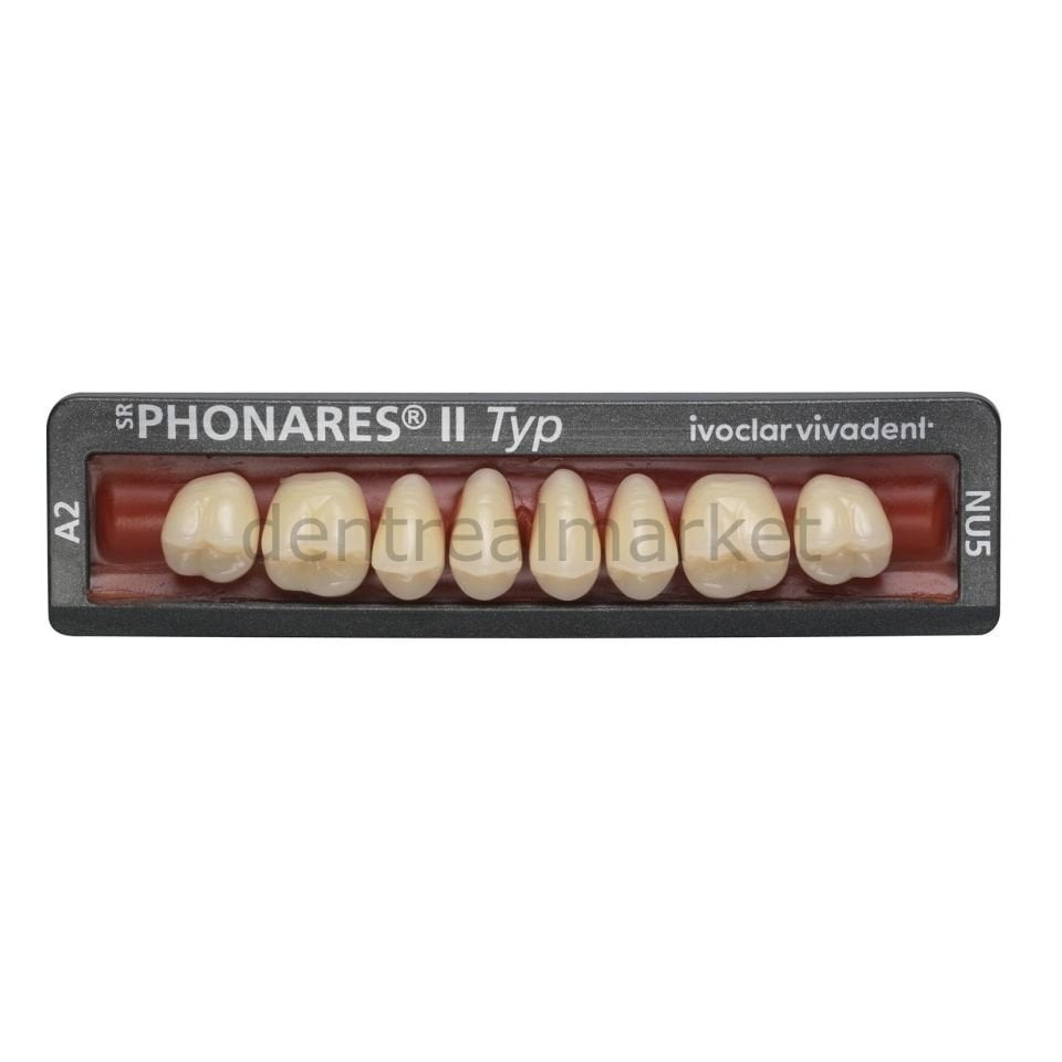 Sr Phonares II Typ Nano Hybrid Kompozit Üst Posterior Diş 8'lik