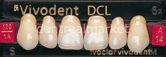 Sr Vivodent DCL Üst Anterior Diş 6'lık B3 - A14