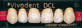 Sr Vivodent DCL Üst Anterior Diş 6'lık B3 - A68