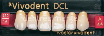 Sr Vivodent DCL Üst Anterior Diş 6'lık C1 - A44