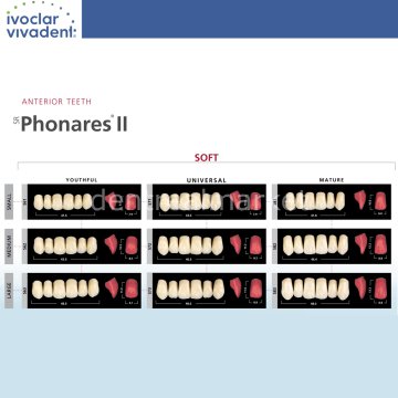 Sr Phonares II Nano Hybrid Kompozit Üst Anterior Diş 6'lık