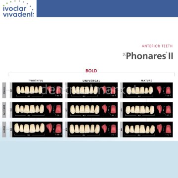 Sr Phonares II Nano Hybrid Kompozit Üst Anterior Diş 6'lık