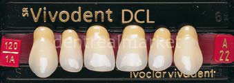 Sr Vivodent DCL Üst Anterior Diş 6'lık C2 - A22