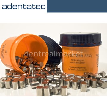 System MG İskelet Metali