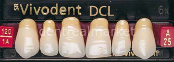 Sr Vivodent DCL Üst Anterior Diş 6'lık C2 - A25