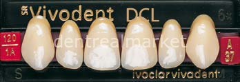 Sr Vivodent DCL Üst Anterior Diş 6'lık C2 - A37