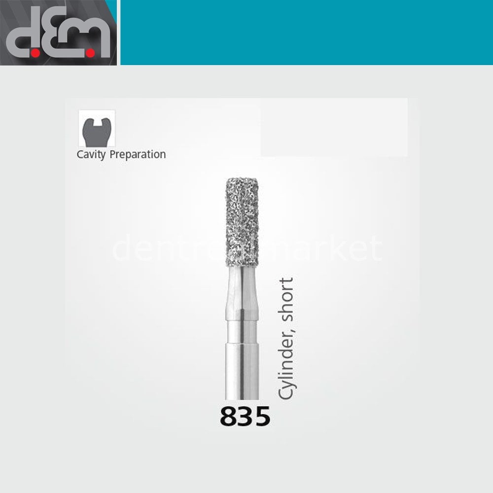 DX Sentetik Elmas Frez - 835 - Silindir - 10 Adet