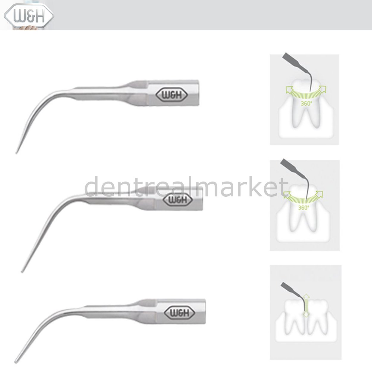 Kavitron-Scaler  Uçları- Üniversal Set