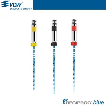 Reciproc Blue Rotary Kanal Egesi 4'lük Blister