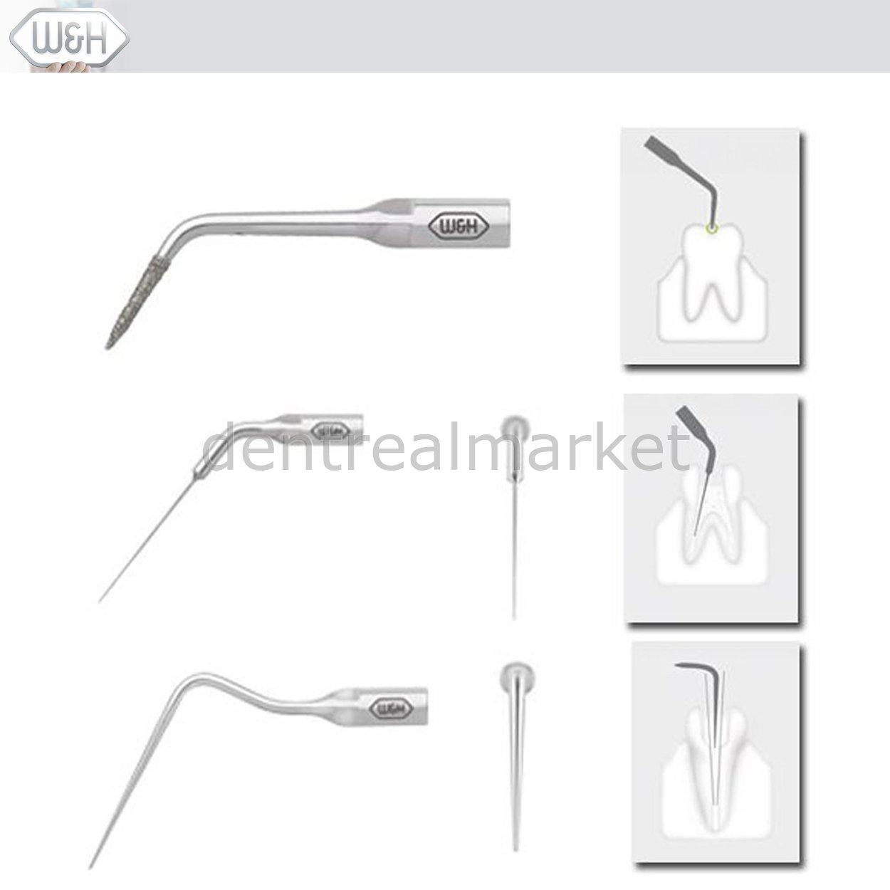 Kavitron-Scaler  Uçları- Endo Uç Set