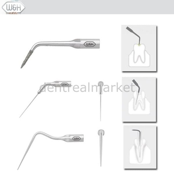 Kavitron-Scaler  Uçları- Endo Uç Set
