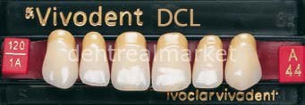 Sr Vivodent DCL Üst Anterior Diş 6'lık D2 - A44