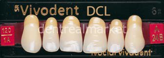 Sr Vivodent DCL Üst Anterior Diş 6'lık D2 - A24B