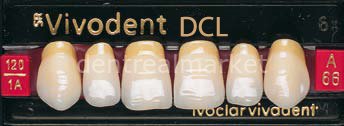 Sr Vivodent DCL Üst Anterior Diş 6'lık D2 - A66