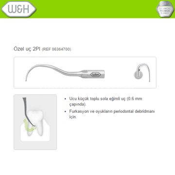 Kavitron-Scaler Uç Refilleri 2PI