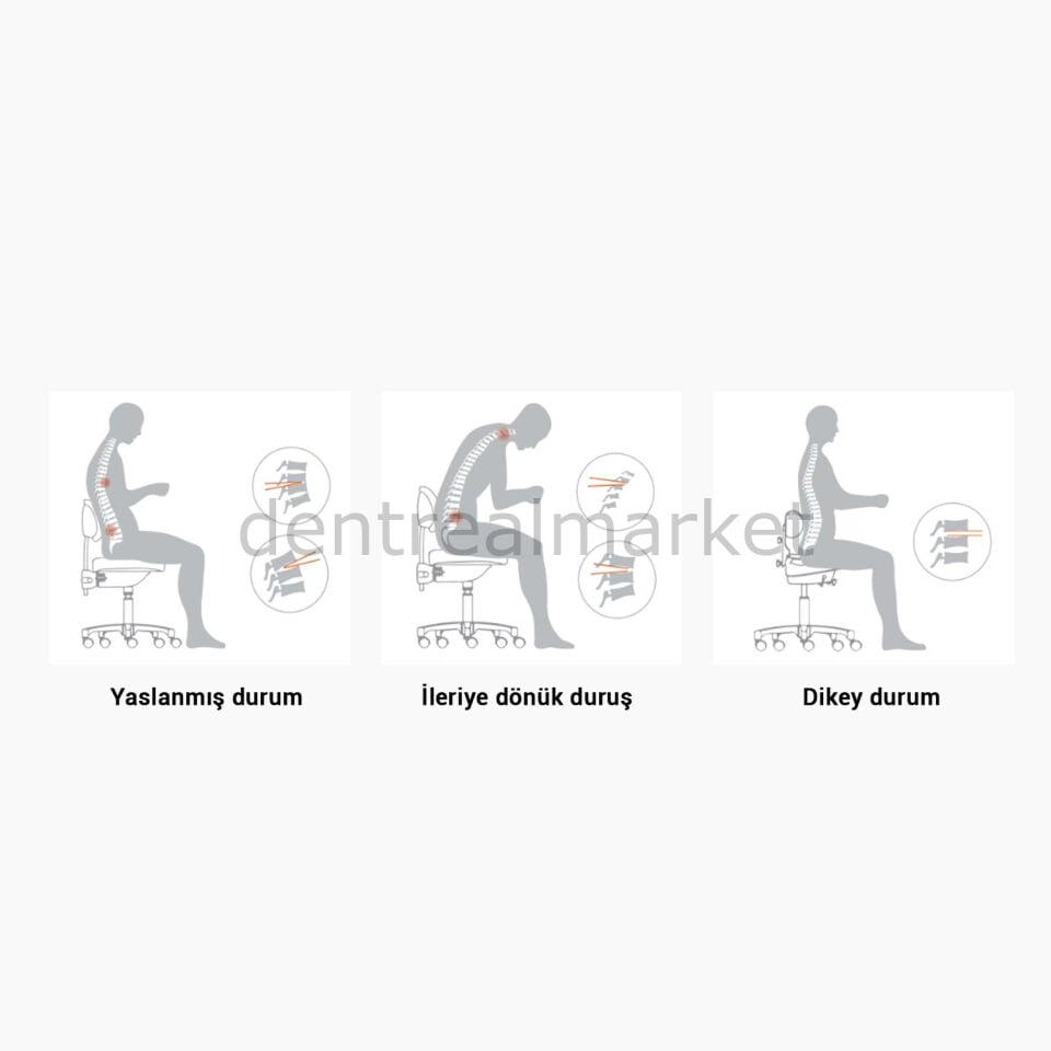 Alltion Doctor Chair - Ergonomik Dental Mikroskop Sandalyesi Gray