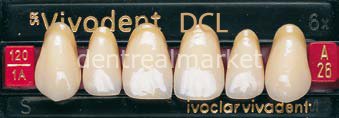 Sr Vivodent DCL Üst Anterior Diş 6'lık Bleach 1 - A26