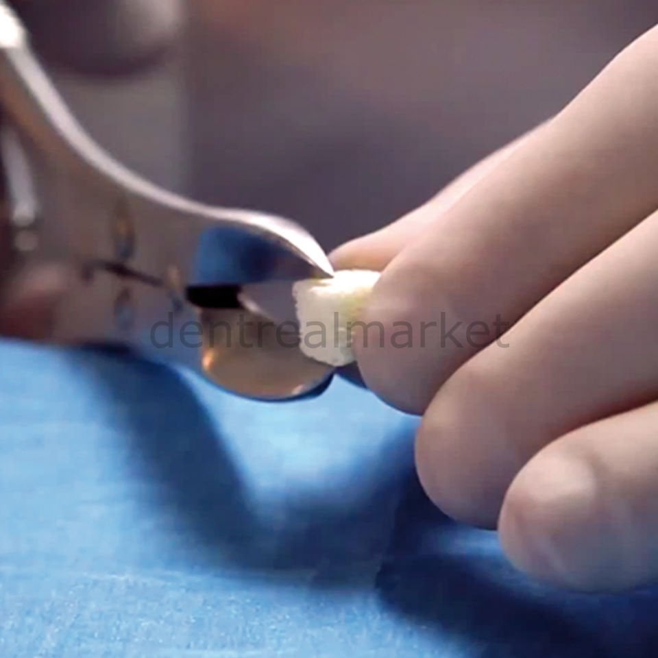 Smartbone Blok Kemik Greft - Sığır Kaynaklı 7x7x7 mm