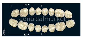 Gnathostar Posterior 8'lik Diş Lower Teeth - A1 - D86