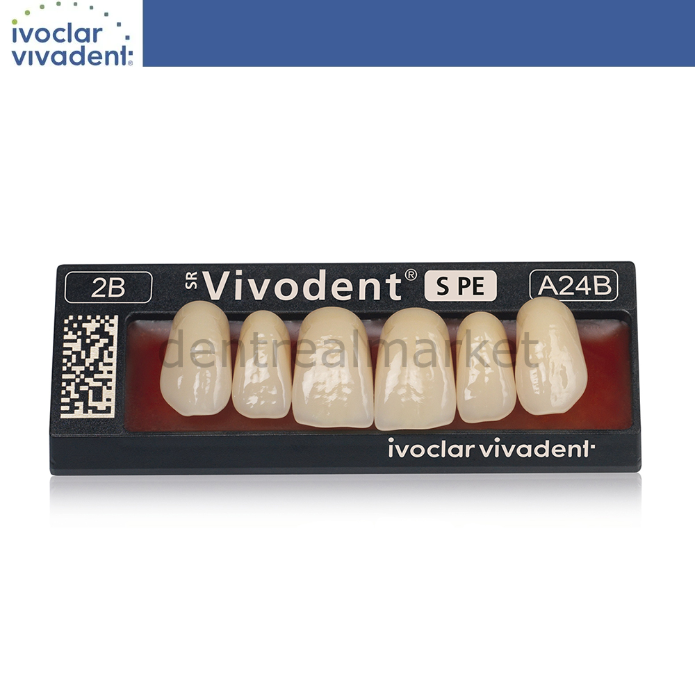 SR Vivodent S PE İsosit Kompozit Üst Anterior Diş 6'lık