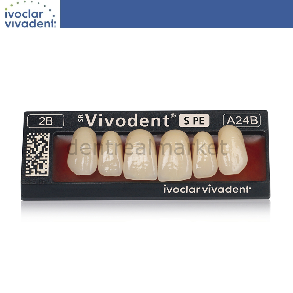 SR Vivodent S PE İsosit Kompozit Üst Anterior Diş 6'lık
