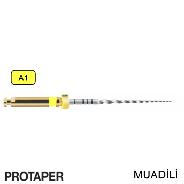 G6 Kanal Egesi Protaper Muadili Niti A1