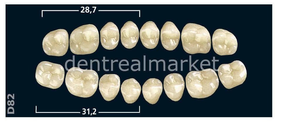 Gnathostar Posterior 8'lik Diş Lower Teeth - A2 - D82