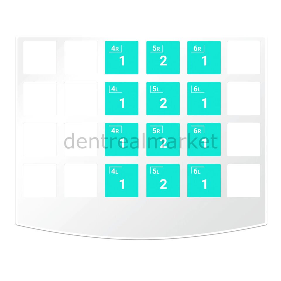 NuSmile ZR Zirconia Permanent Molar Evaluation Kit