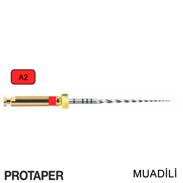 G6 Kanal Egesi Protaper Muadili Niti A2
