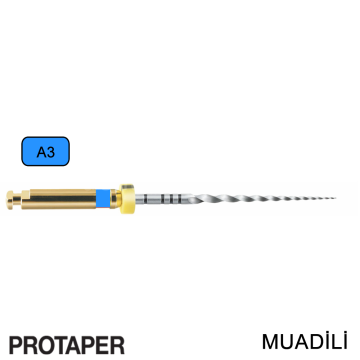 G6 Kanal Egesi Protaper Muadili Niti A3