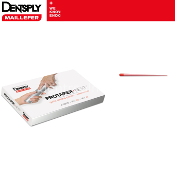 Protaper Next Paper Point X2