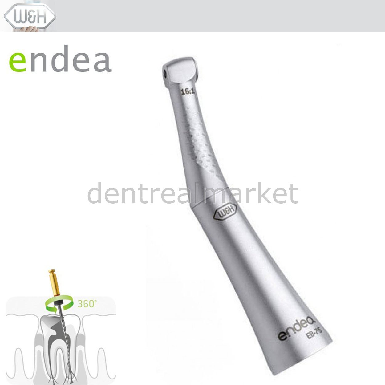 Endea Endodontik Anguldurva 16:1 - EB-75