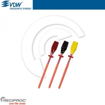 Gutta Fusion  For Reciproc - Sıcak Gutta