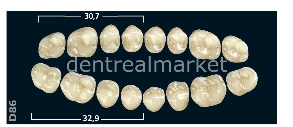 Gnathostar Posterior 8'lik Diş Lower Teeth - Bleach 1 - D86