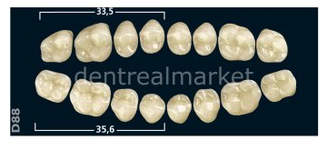 Gnathostar Posterior 8'lik Diş Lower Teeth - Bleach 1 - D88