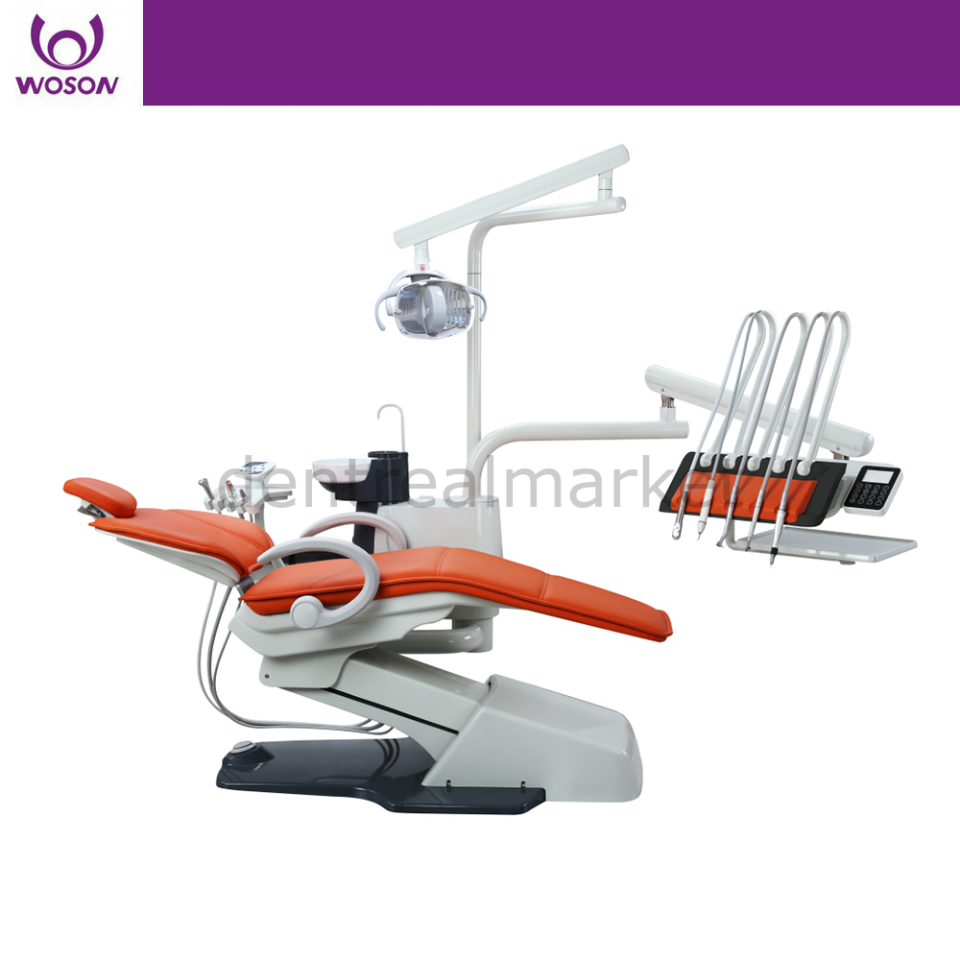 Wozo Kamçılı Dental Ünit